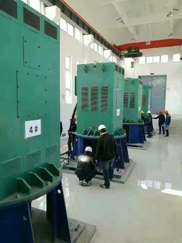 YJTGKK4001-4某污水处理厂使用我厂的立式高压电机安装现场