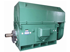 YJTGKK4001-4Y系列6KV高压电机