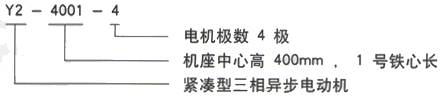 YR系列(H355-1000)高压YJTGKK4001-4三相异步电机西安西玛电机型号说明